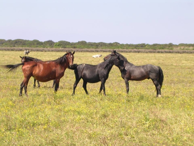  gratis en la naturaleza 